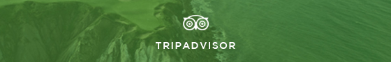 TripAdvisor link and image