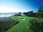 Palmetto Golf