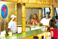 Soggy Dollar Pool Bar
